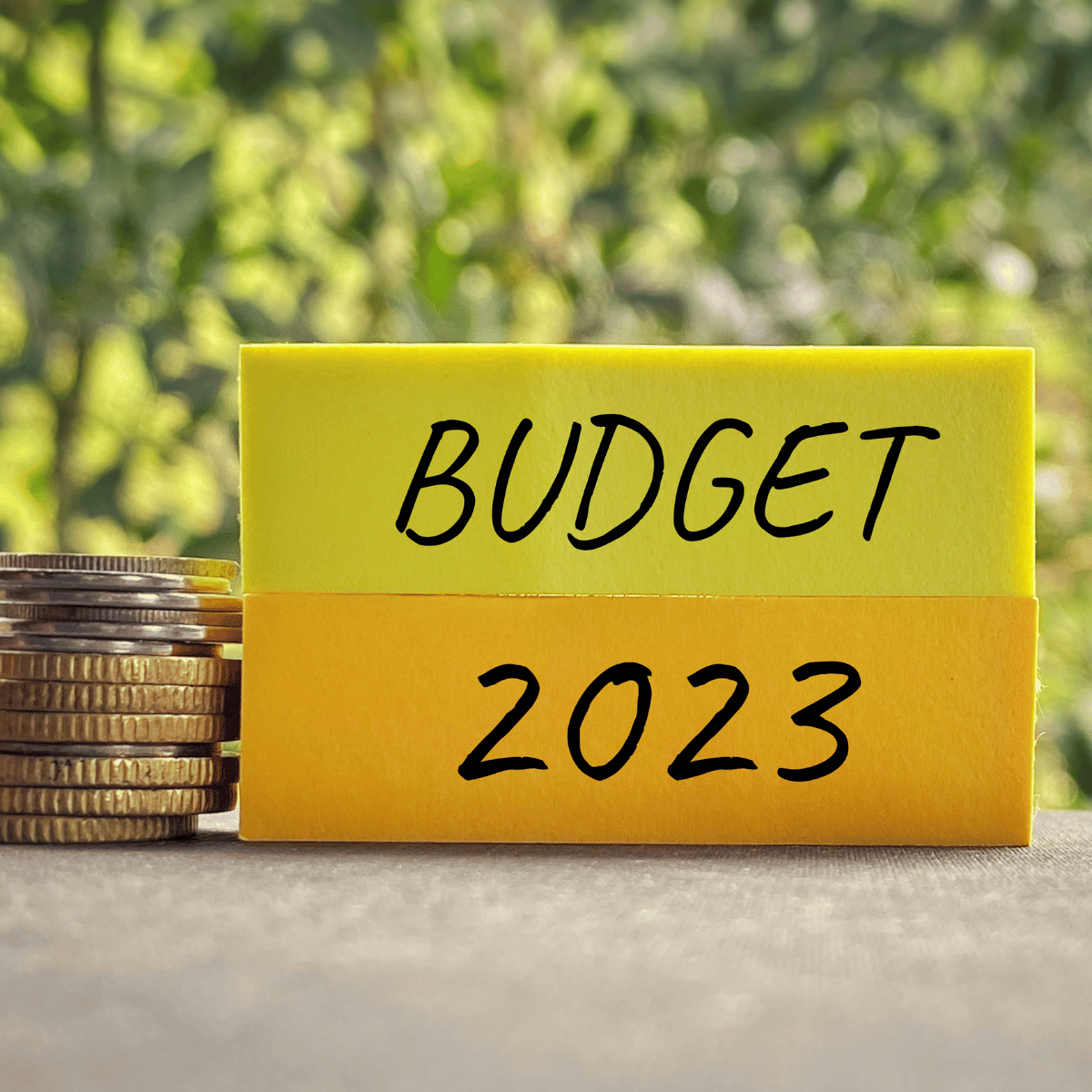 What Should the 2023 Spring Budget Contain? NIESR